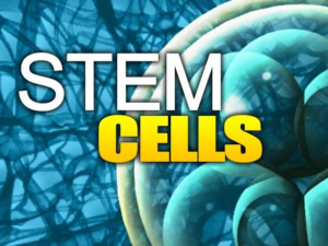 Stem Cell Therapy Atlanta