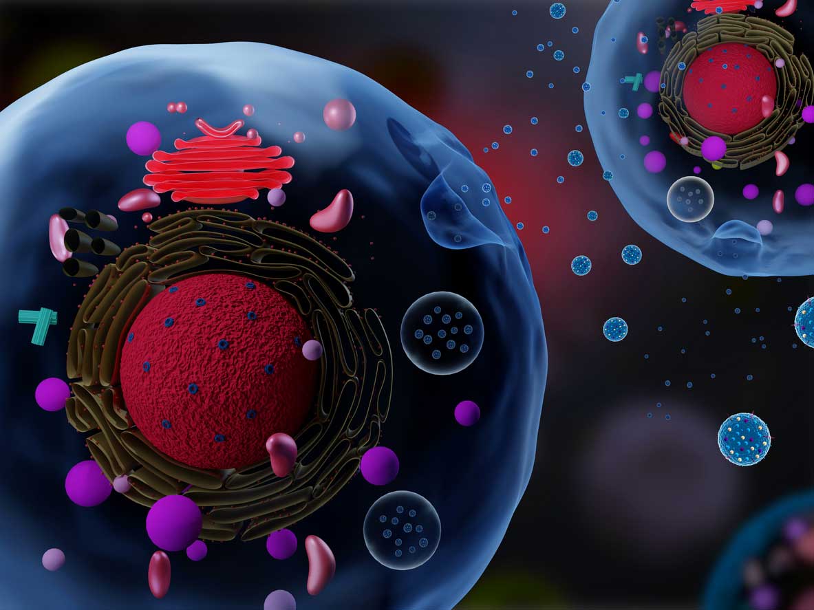 Exosome Companies