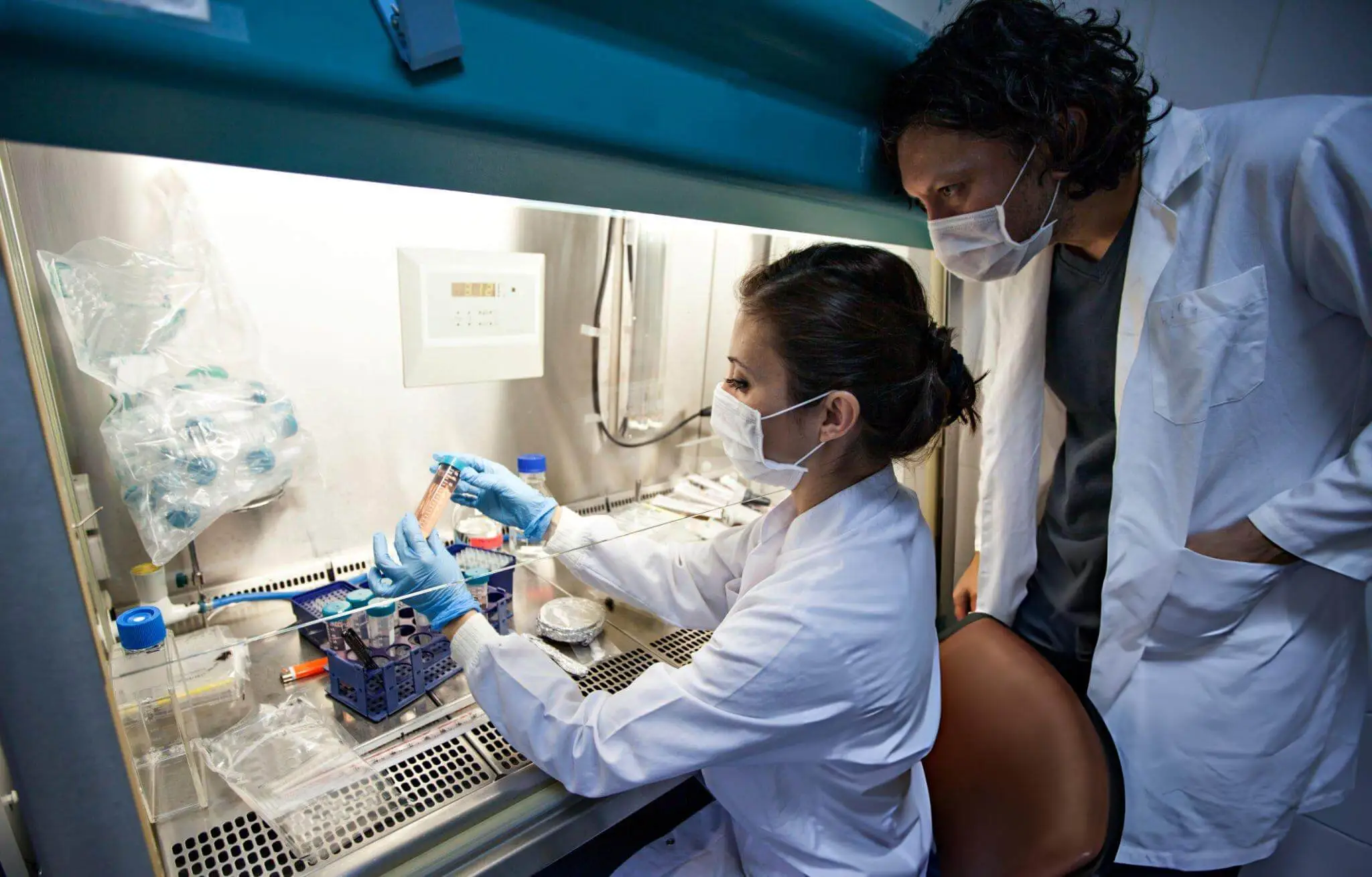 Scientists in a controlled laboratory environment handling umbilical cord tissue to produce high-quality stem cells and exosomes.