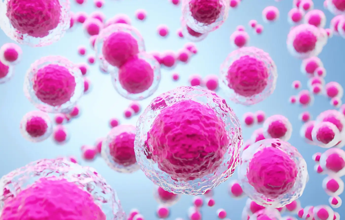 3D microscopic view of vibrant pink human stem cells used for regenerative therapy.