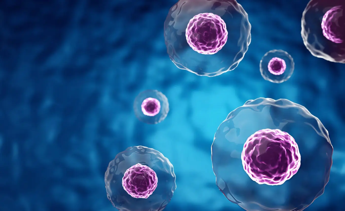 Microscopic 3D render of human stem cells for therapy in Austin TX.