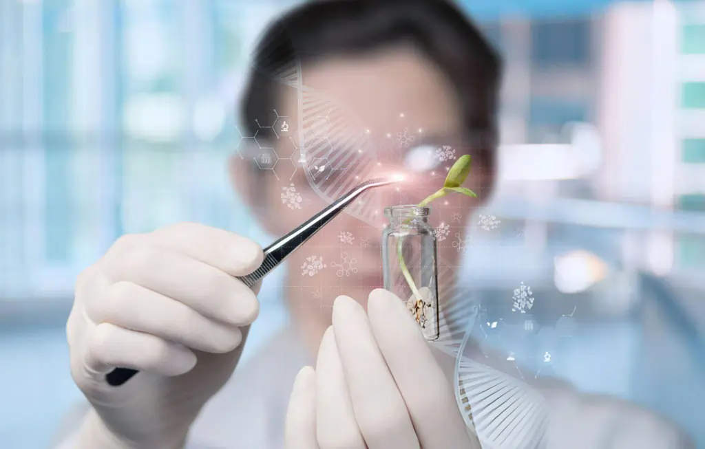 A high-tech medical laboratory setting showing the sterile processing of regenerative biologics and stem cell samples for patient treatment.