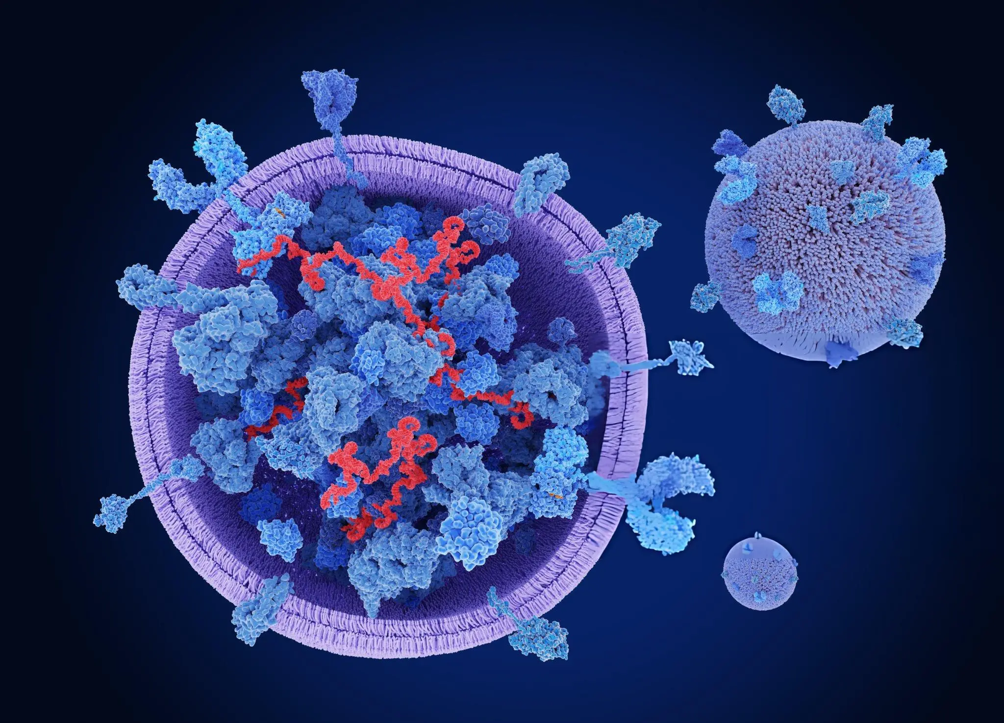 What Is Stem Cell Therapy