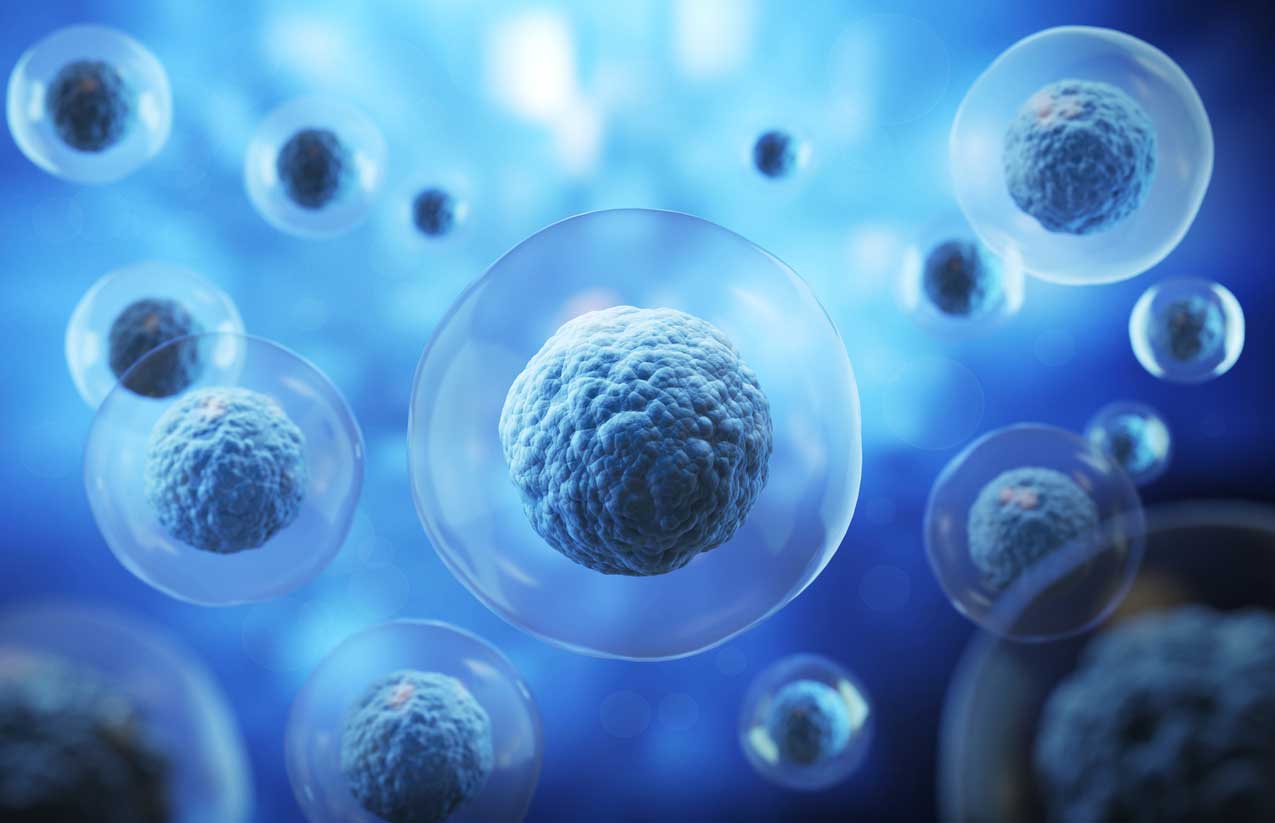 Scientific 3D rendering of pluripotent stem cells, illustrating regenerative medicine and biological growth.