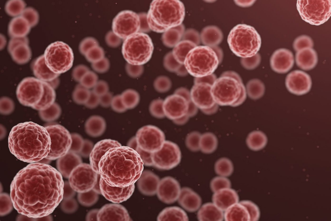 A high-resolution 3D rendering of red spherical stem cells under a microscope, representing active cells used in regenerative therapy at R3 Stem Cell.