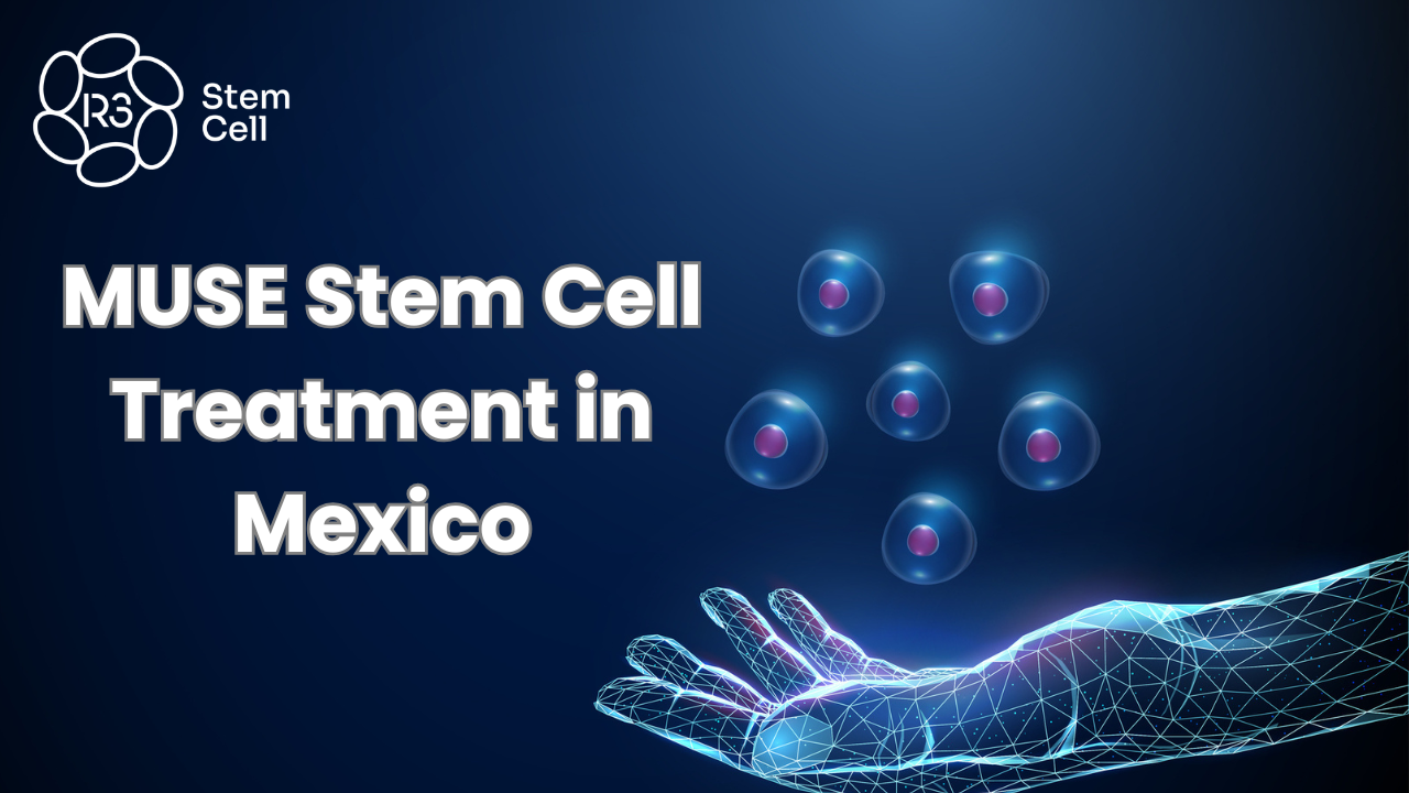 MUSE Stem Cell Treatment Mexico