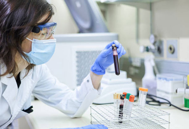 A laboratory scientist examining a blood sample for regenerative therapy and stem cell research.