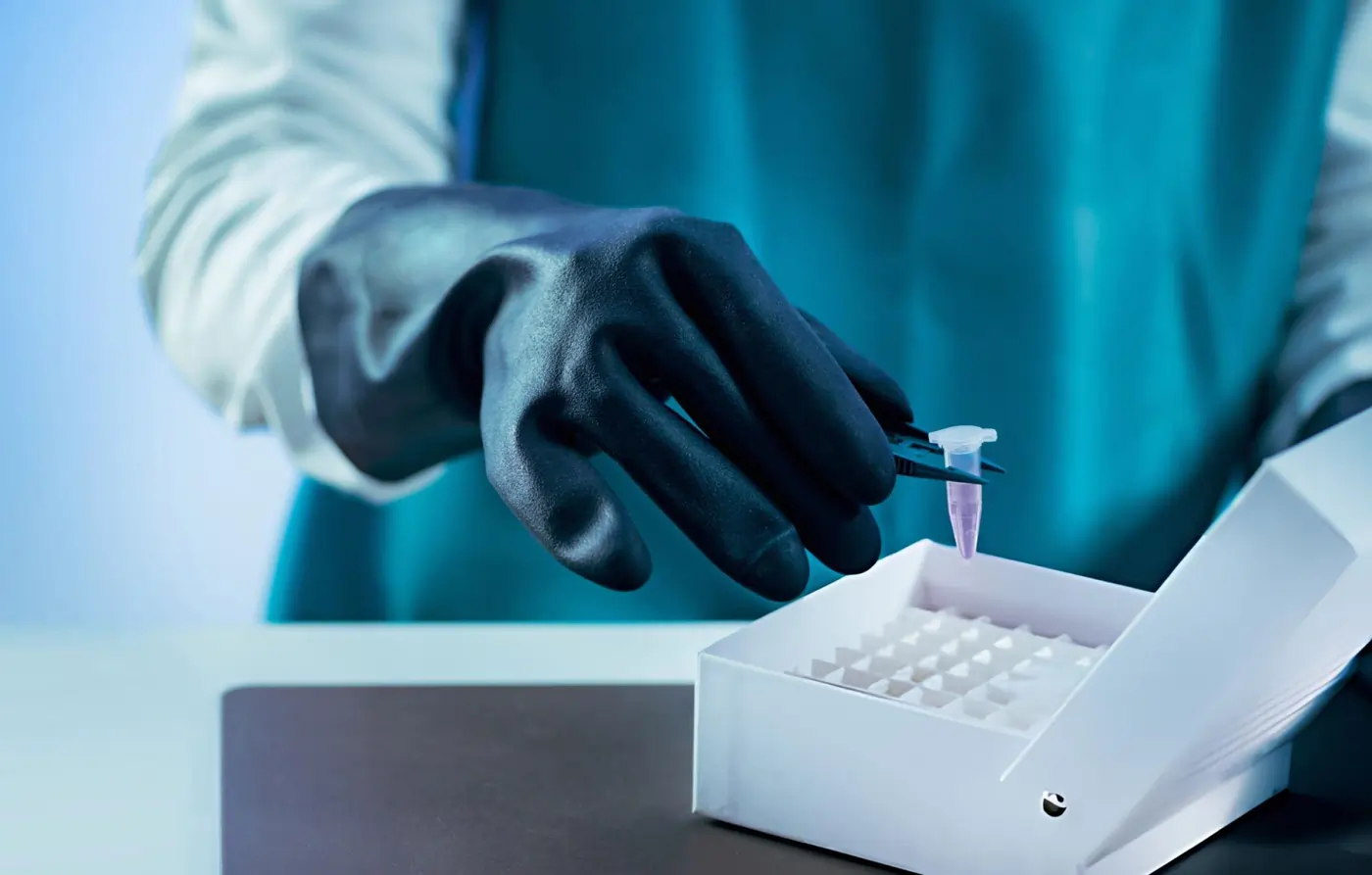 A close-up of a scientist in heavy black protective gloves using forceps to lift a small plastic microcentrifuge tube containing purple liquid out of a white grid storage box.