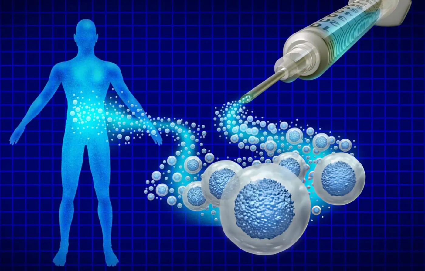 Illustration showing stem cell therapy injection releasing regenerative cells and signaling molecules into the human body to support healing and tissue repair.