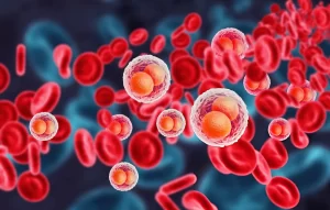 3D medical illustration of red and white blood cells in the human bloodstream