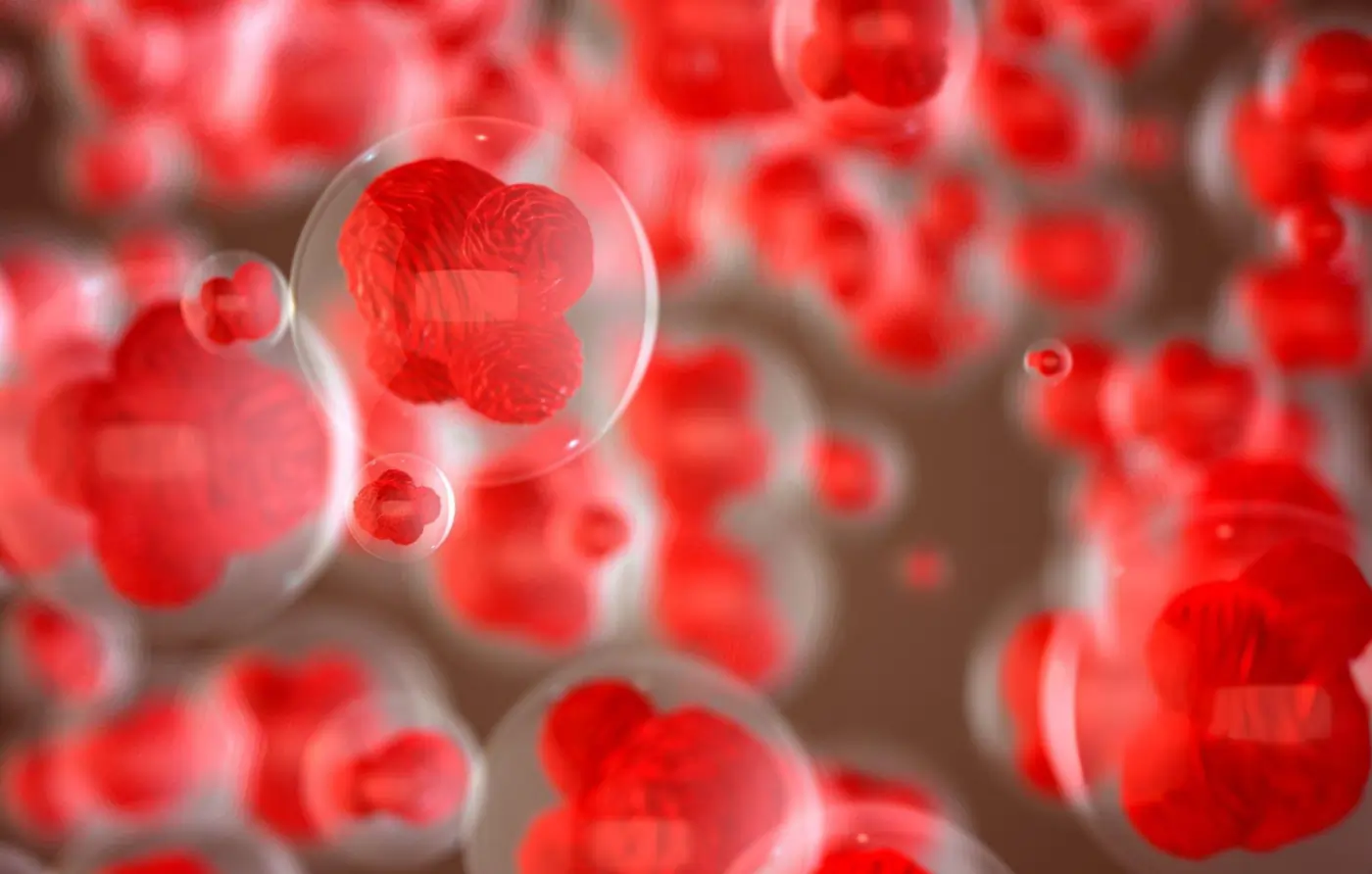 Microscopic graphic view of stem cells in transparent spheres