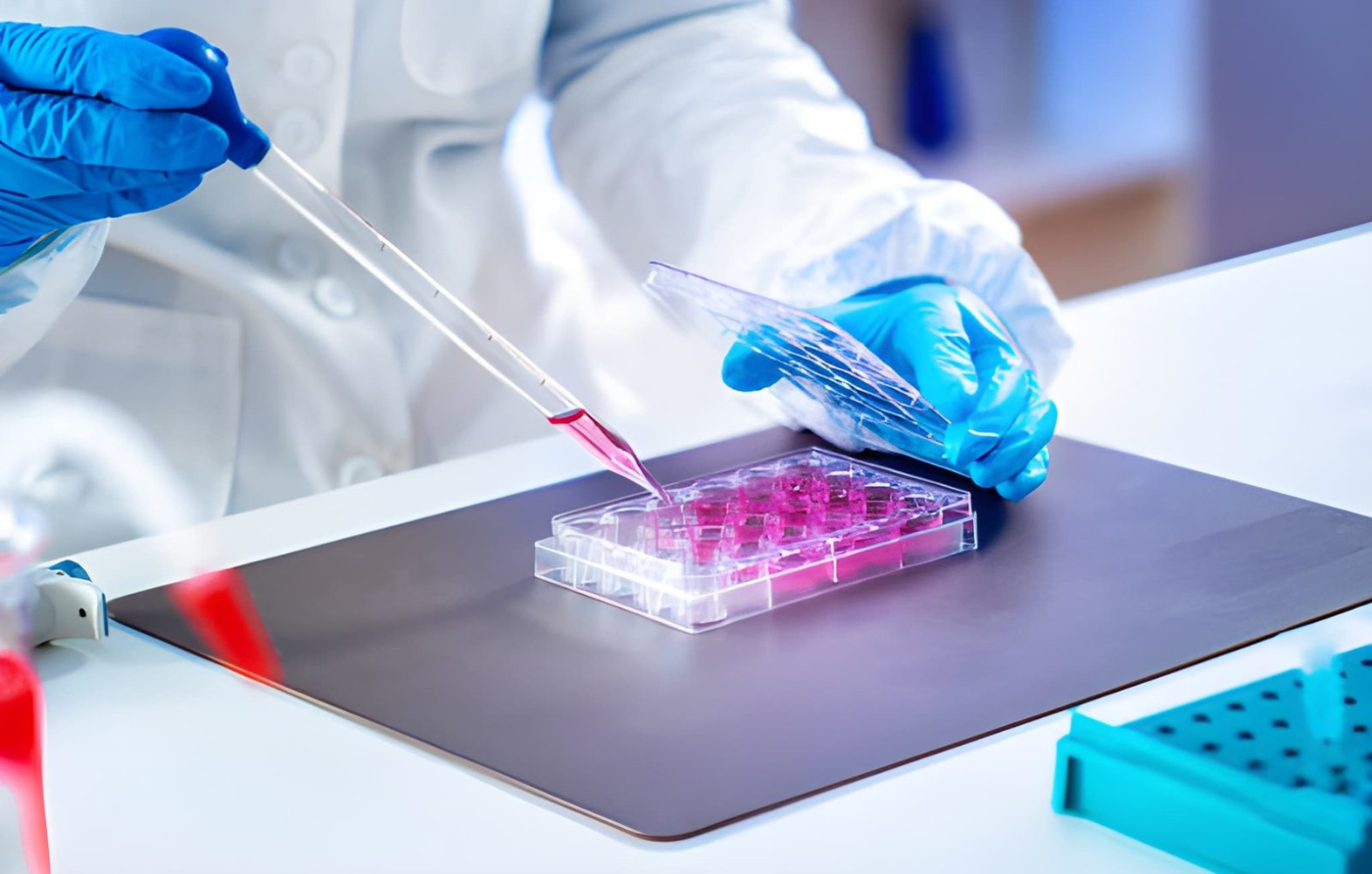A laboratory technician in a sterile gown and blue gloves using a pipette to add a pink cell culture media solution to a multi-well tissue culture plate during stem cell processing.