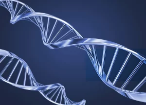 Blue DNA double helix representing Muse stem cells research