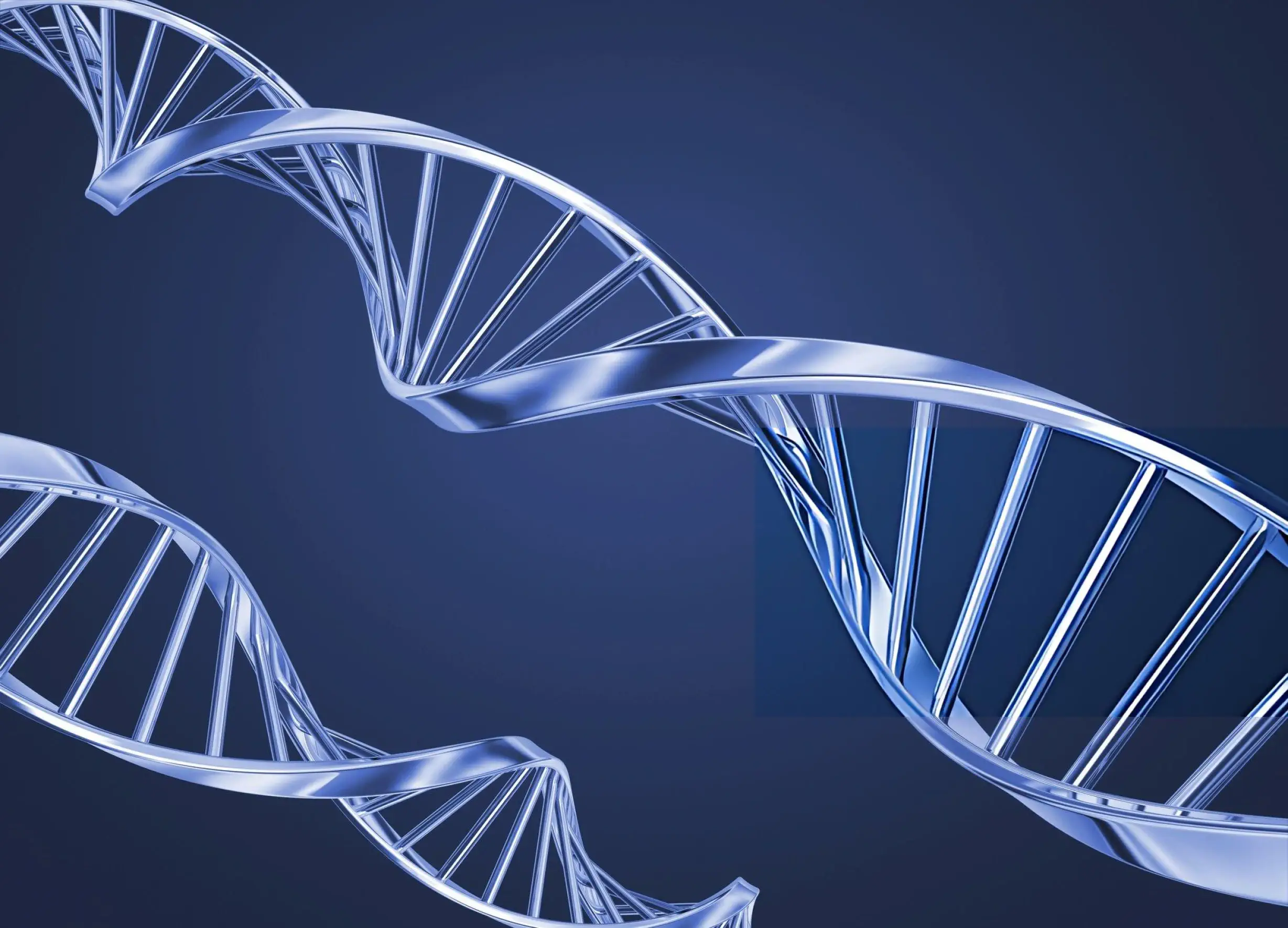 Blue DNA double helix representing Muse stem cells research