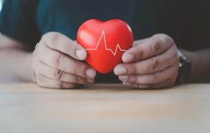 Hands holding red heart model for stem cell therapy