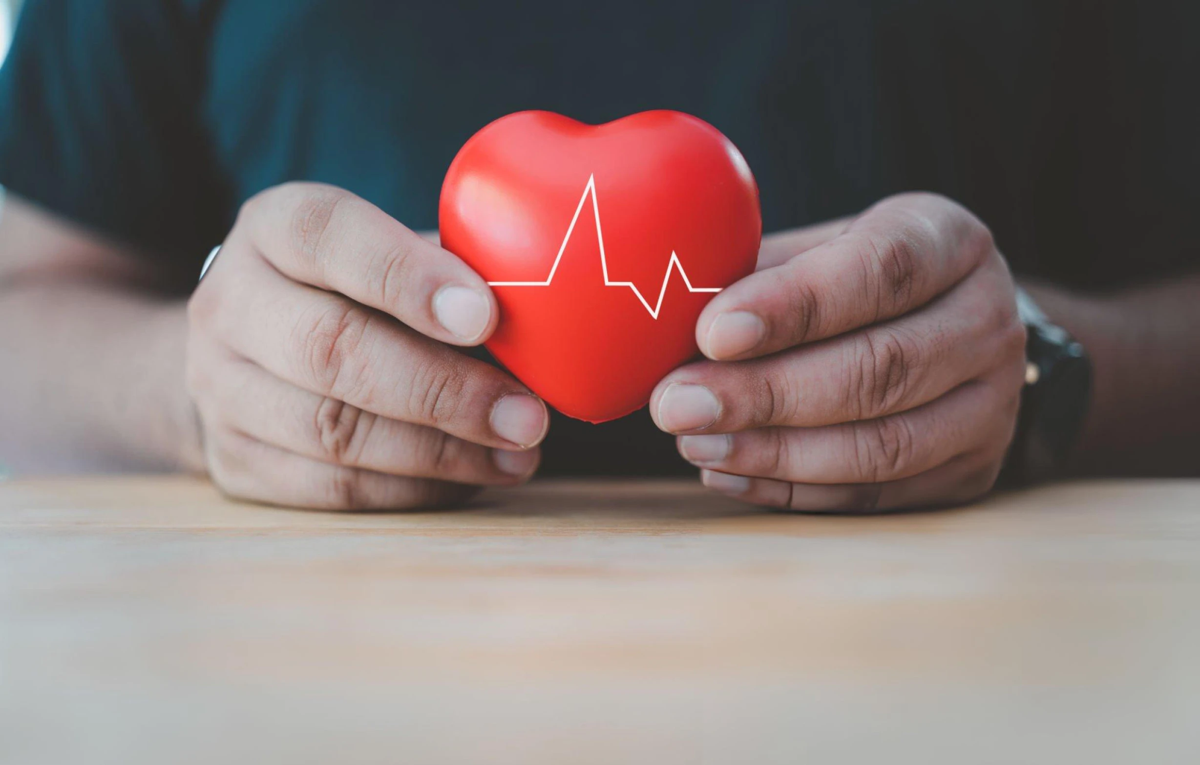 Hands holding red heart model for stem cell therapy
