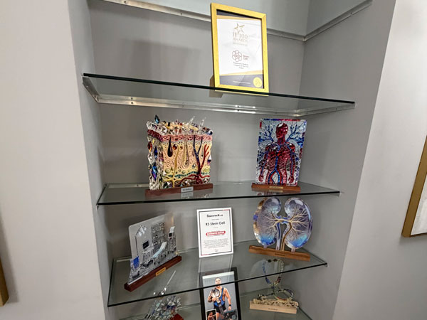 Glass display shelves with framed certificate and decor at R3 Stem Cell Orlando